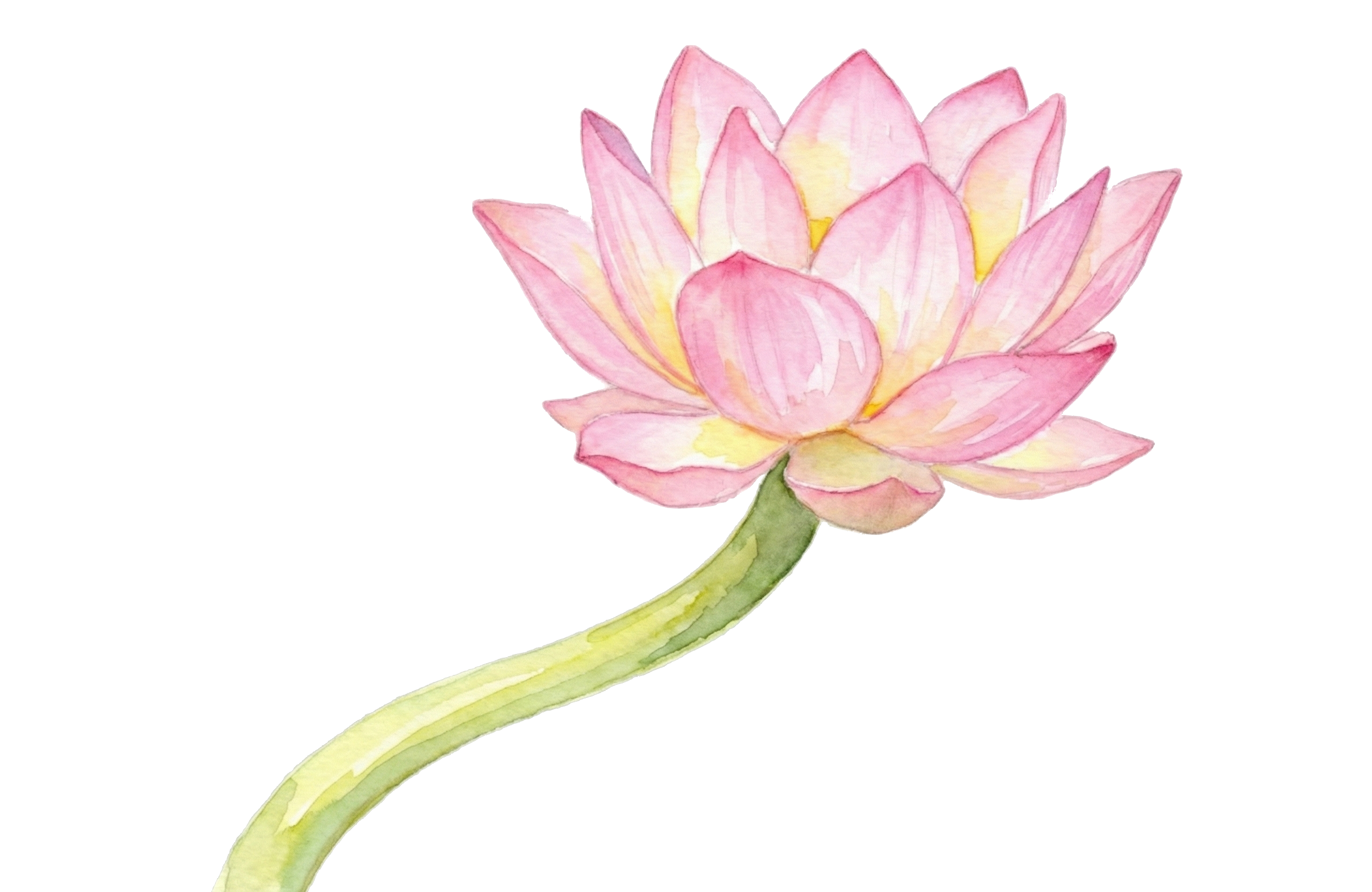 Decorative Background Element